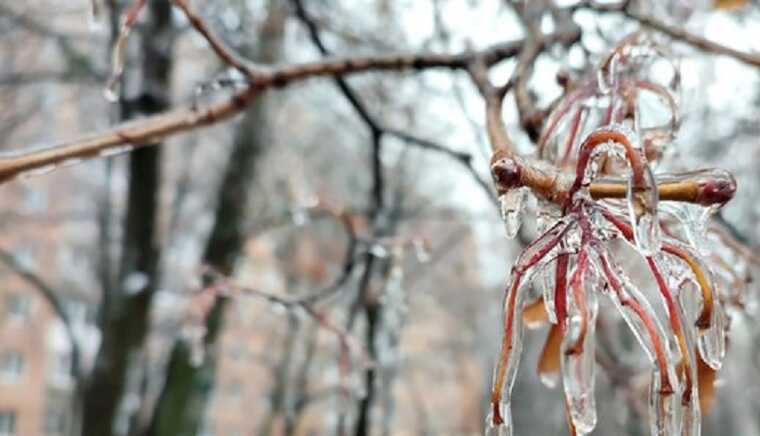 В Україну йдуть морози: метеорологиня розповіла, коли очікувати до -15 градусів