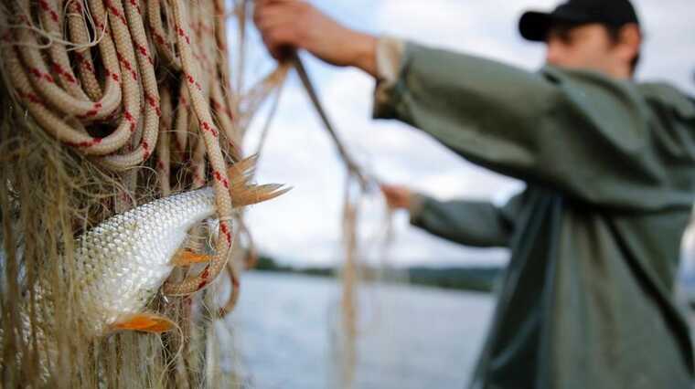 Заза Коберідзе: засновник Федерації Рибальського спорту Києва веде бізнес у Криму