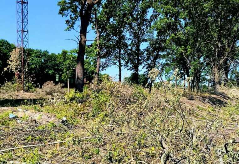 На Буковине главе железнодорожной станции выдвинули подозрение в злоупотреблениях