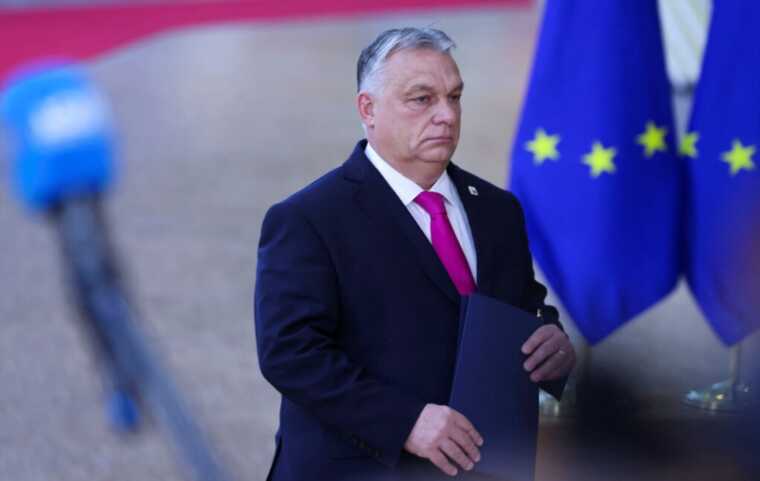 Politico:   ""     50    