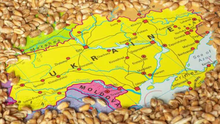 П’ять східних країн ЄС знову просять Єврокомісію повернути мита на українське зерно