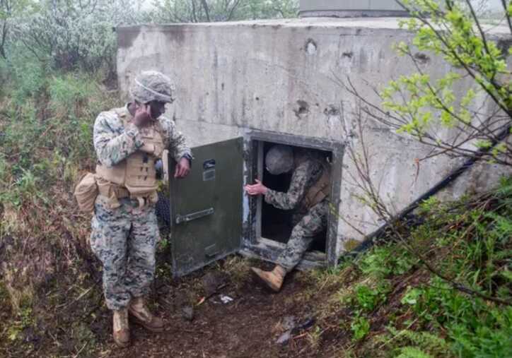 Естонія вирішила відгородитися від РФ лінією оборони з 600 бункерів