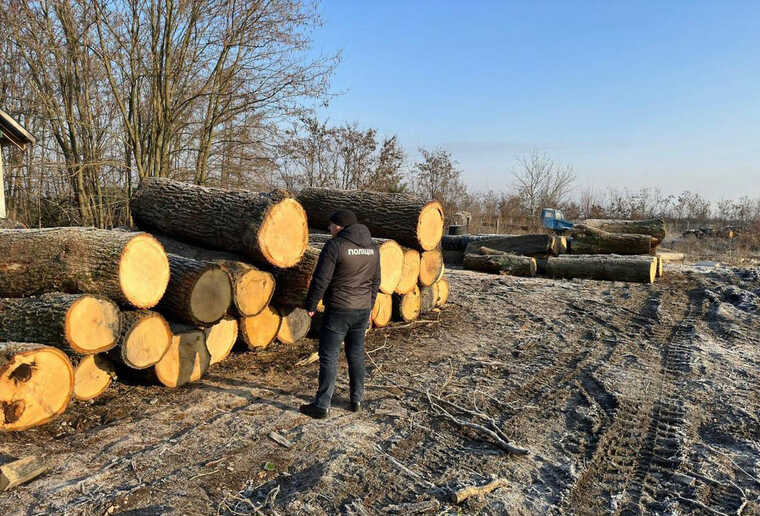 Закарпатские правоохранители разоблачили преступную группу, организовавшую незаконную вырубку и похищение древесины ценных пород