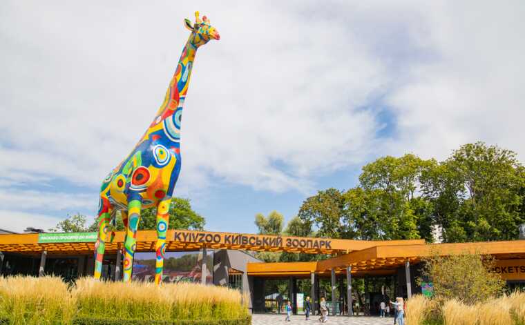 Киевский зоопарк оценил годовой уход за деревьями почти в 1,3 миллиона гривен