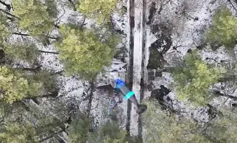 Украинские пограничники показали, как "подчистили" оккупантов в лесах Харьковской области