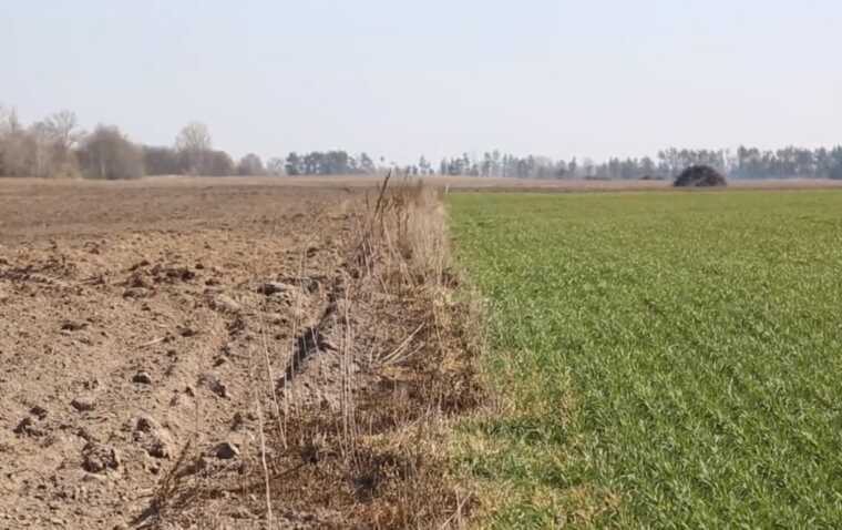 В окупованому Криму пограбування українського бізнесу і майна набрало колосальних масштабів