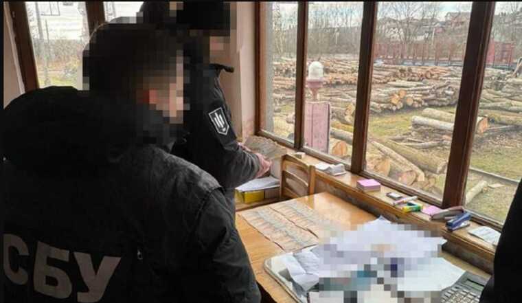 На Львівщині затримали депутата міськради: продавав деревину за хабарі