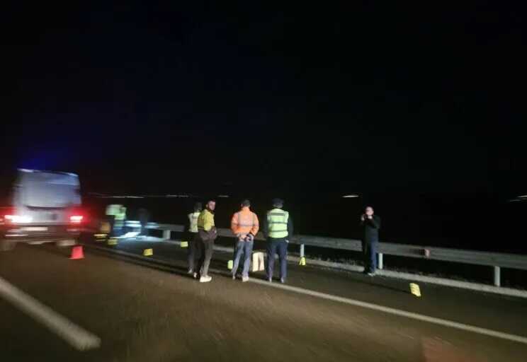 У Косово посеред траси знайдено мертвою 22-річну українку з Черкащини