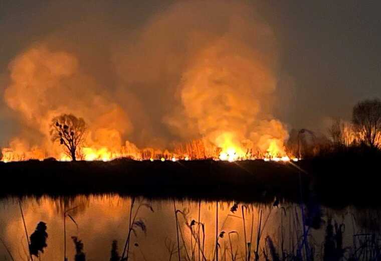 Fire in the Osokorky Ecopark: it is suspected that the developer Stolitsa Group started the fire