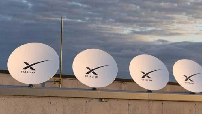     SpaceX     Starlink, - WP
