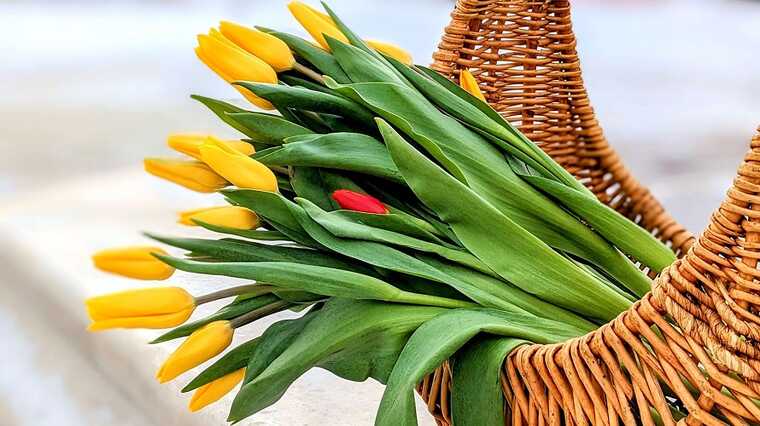 В Украине праздновали 8 марта: в Сети публикуют видео с вечеринок