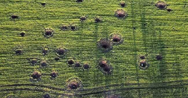 Війна створила катастрофічний дефіцит людей в агрогалузі: сіяти зерно скоро не буде кому