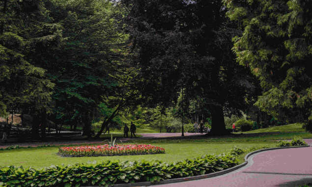 На озеленення Києва планують виділити 10 мільйонів гривень, - КМДА