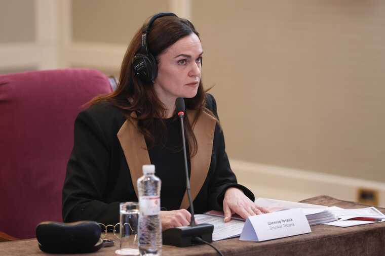 Кандидатка до Конституційного суду сплагіатила текст для своєї дисертації