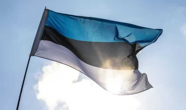 Естонія надасть Україні пакет військової допомоги на 20 мільйонів євро