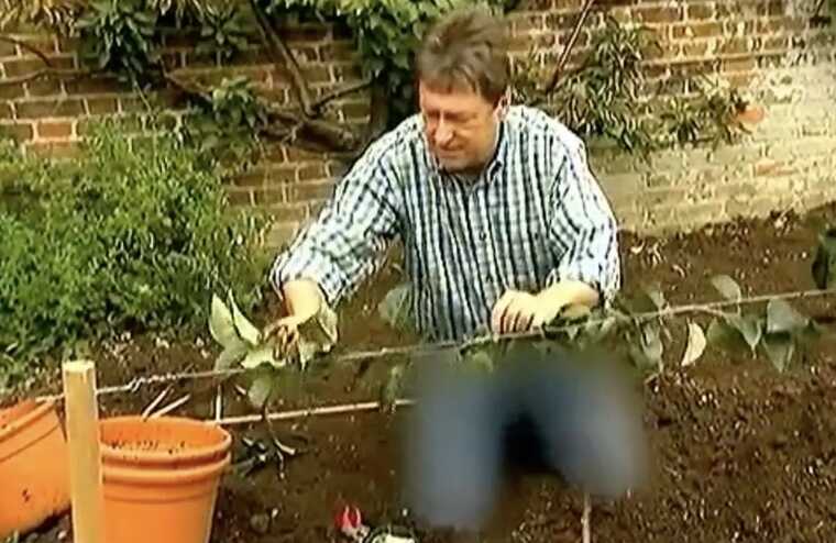 На телевидении КНДР зацензурили джинсы ведущего BBC