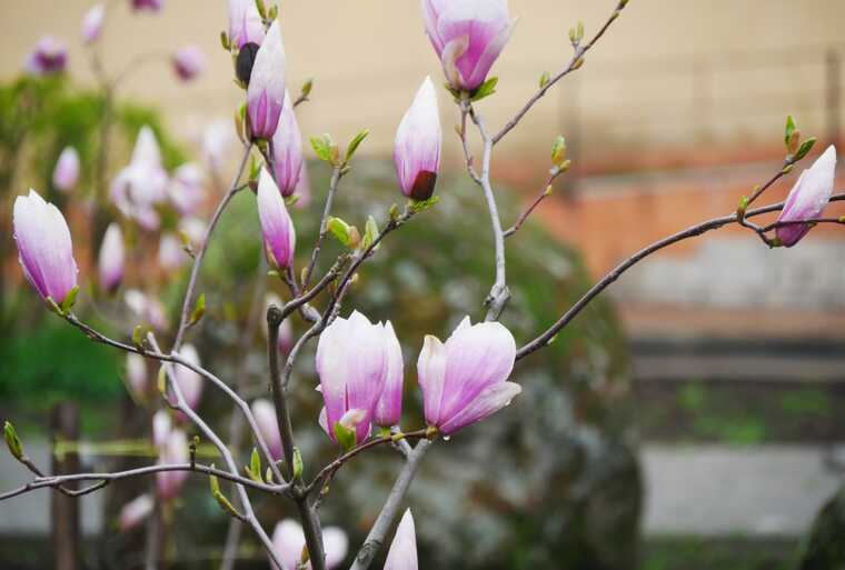В Україні очікується значне потепління в ці вихідні