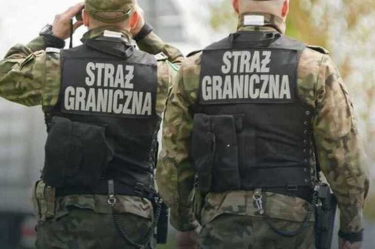 Польские пограничники поднялись по тревоге из-за стада овец на границе с Украиной