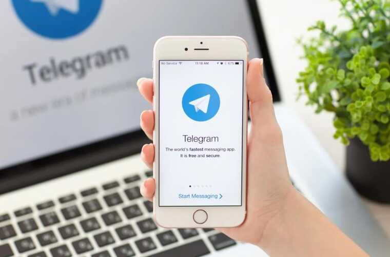  Telegram     