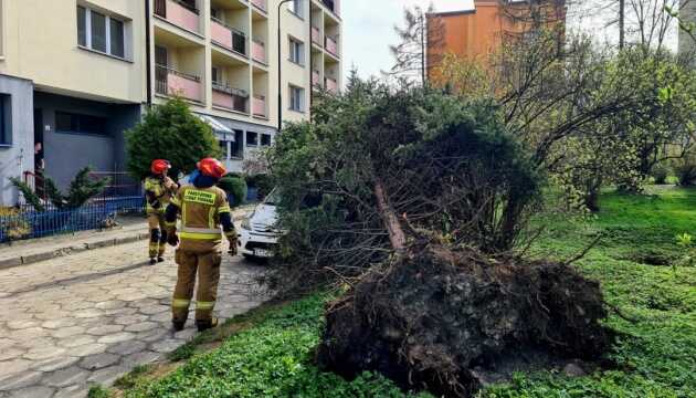 В Польше из-за шквального ветра погибли пять человек