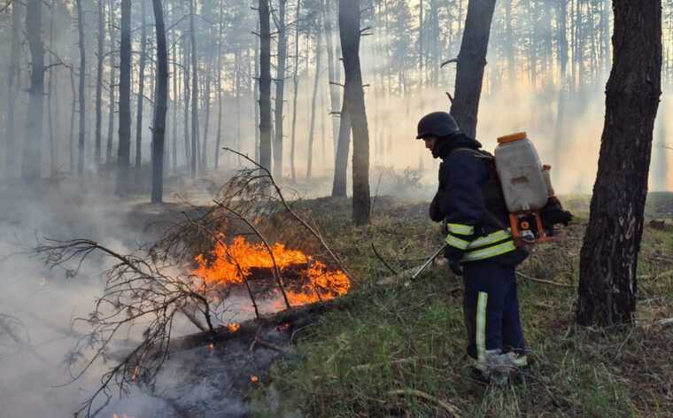 In Kharkiv region, massive enemy shelling caused two forest fires