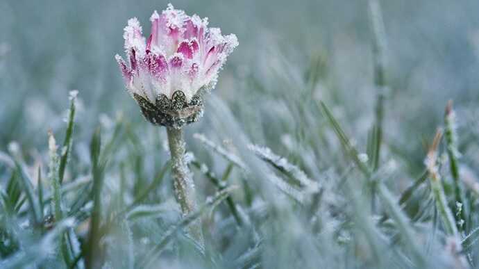 Україну накривають заморозки: температура повітря опуститься до -8 градусів