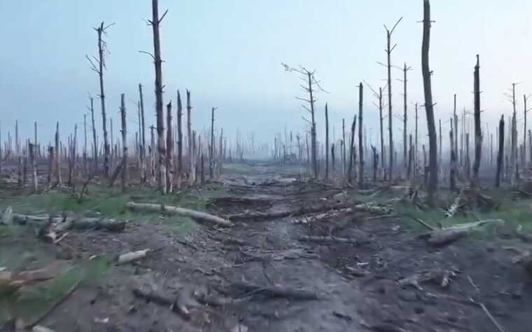 У Мережі опублікували відео Серебрянського лісу, в якому проходять бойові дії