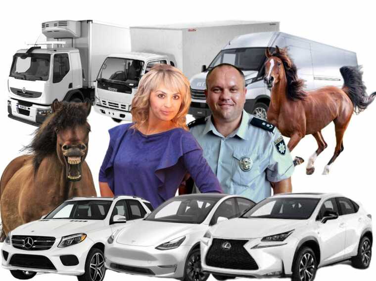 Керівник «Конярства України» Бровко після початку війни задекларував елітний автопарк