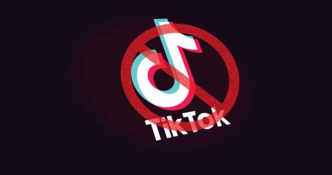 Потрібно заборонити TikTok, він не несе жодної користі, — нардепка Савчук