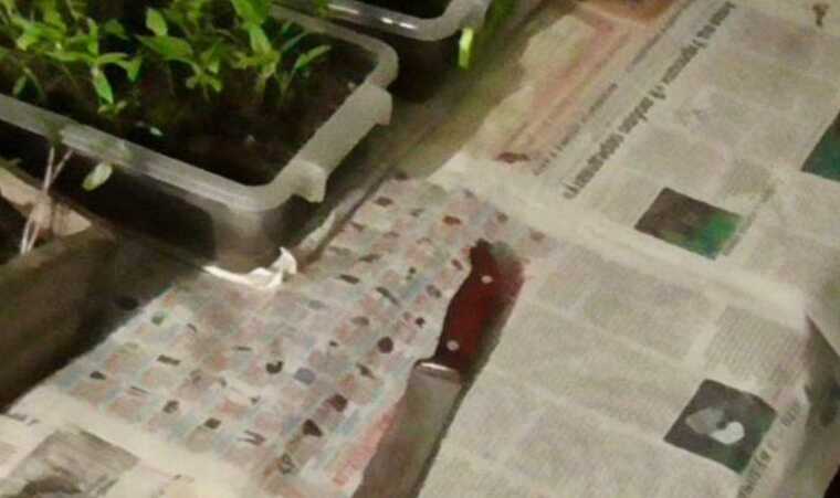 На Житомирщині вчитель із ножем напав на підлітків: є загиблий