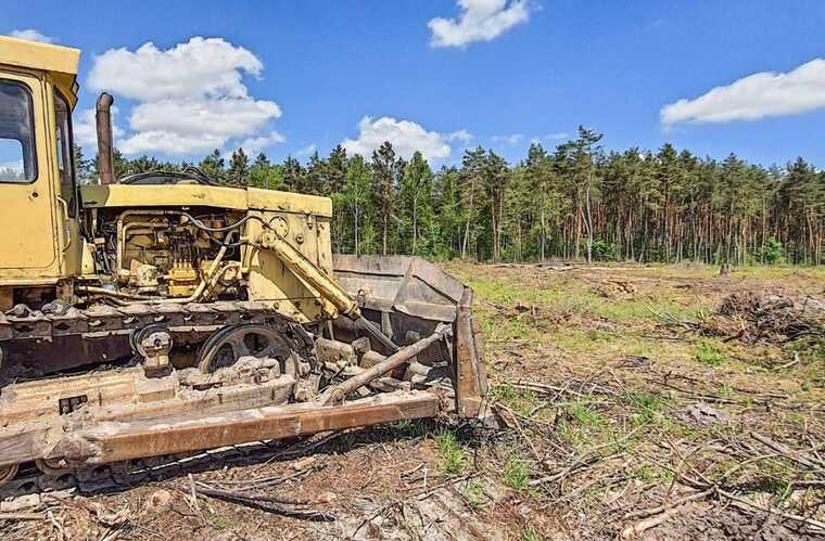 Судитимуть ексголову Держлісагентства, викритого на отриманні хабаря у 141 мільйон гривень
