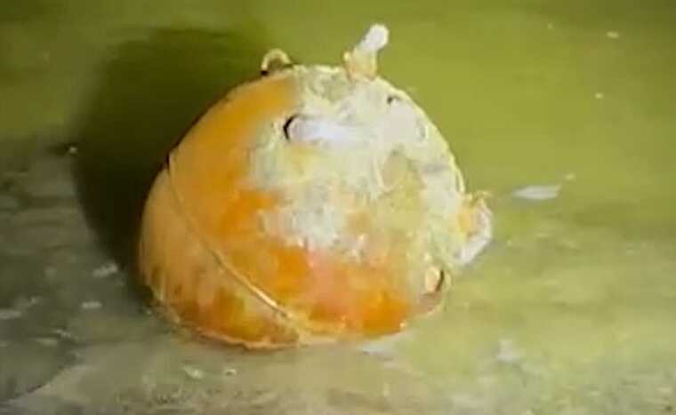 A sea mine was destroyed on the coast in Odesa region, - Ukrainian Navy