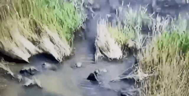 Окупанти намагалися форсувати водну перешкоду на Донеччині у «гілляках»