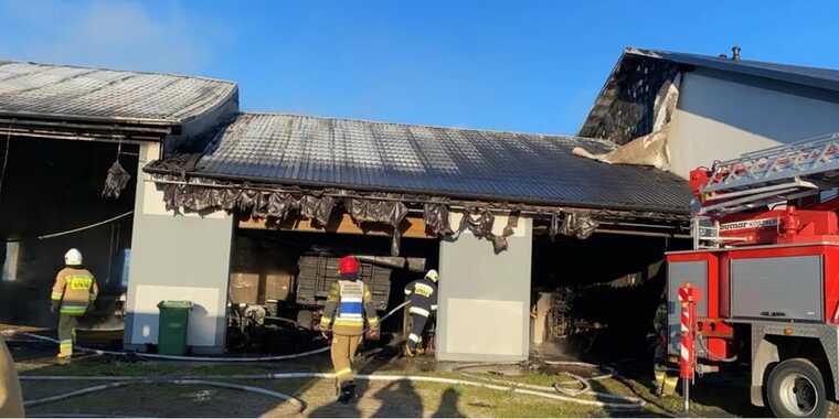 У Польщі вбили українця з особливою жорстокістю, — польські ЗМІ