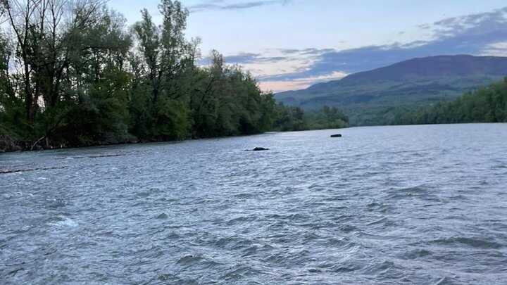 У Тисі знову знайшли потопельника