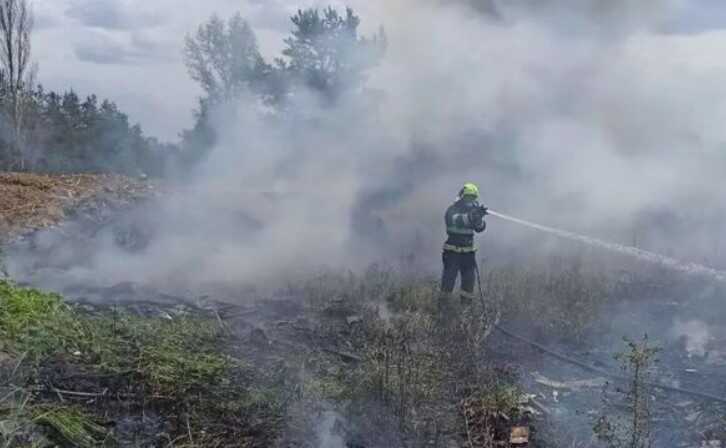 На Київщині під час пожежі бійці ДСНС врятували маленького їжака