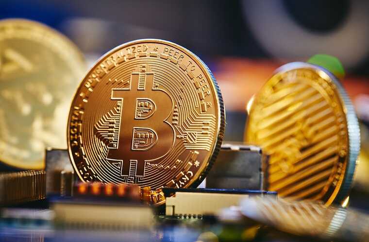 Криптобіржа Plain Chain стала розсадником шахраїв: хто керує сумнівними схемами