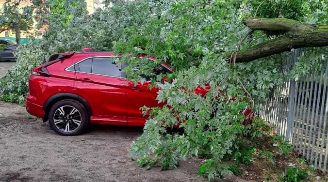 В Киеве и области из-за непогоды есть подтопление и падение деревьев