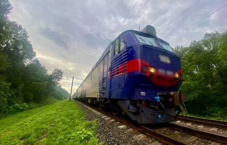 В Киевской области поезд сбил насмерть подростка