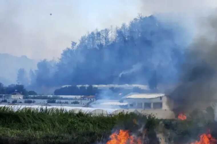 У турецькій Анталії вирує масштабна лісова пожежа
