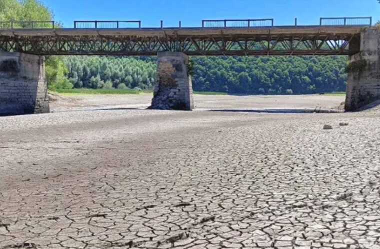 Днестр и Збруч обмелели до дна, умерла рыба и мидии