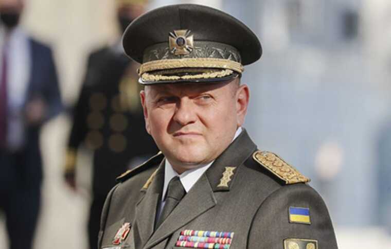 BILD вказав на головну помилку Залужного