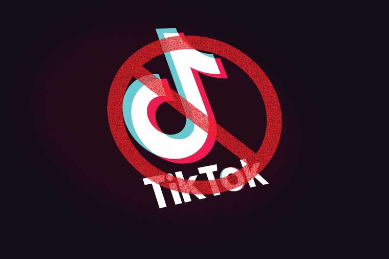  TikTok  :     