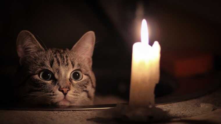 Ukrainians are frightened by strict blackout schedules: "Ukrenergo tells about the spread of fake messages