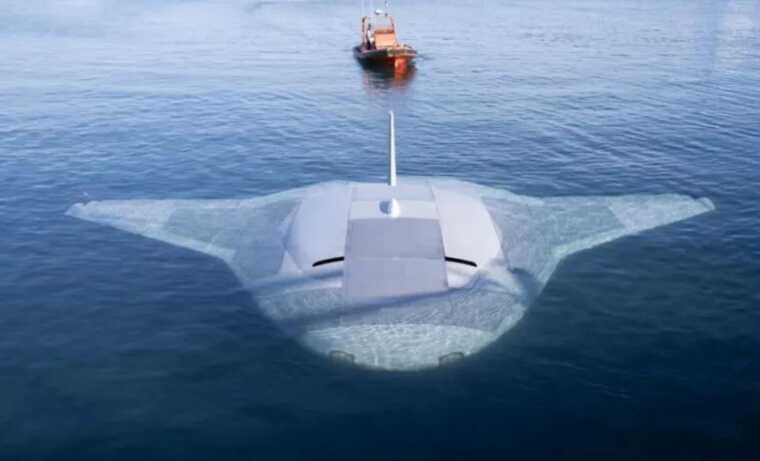 Google Maps     Manta Ray