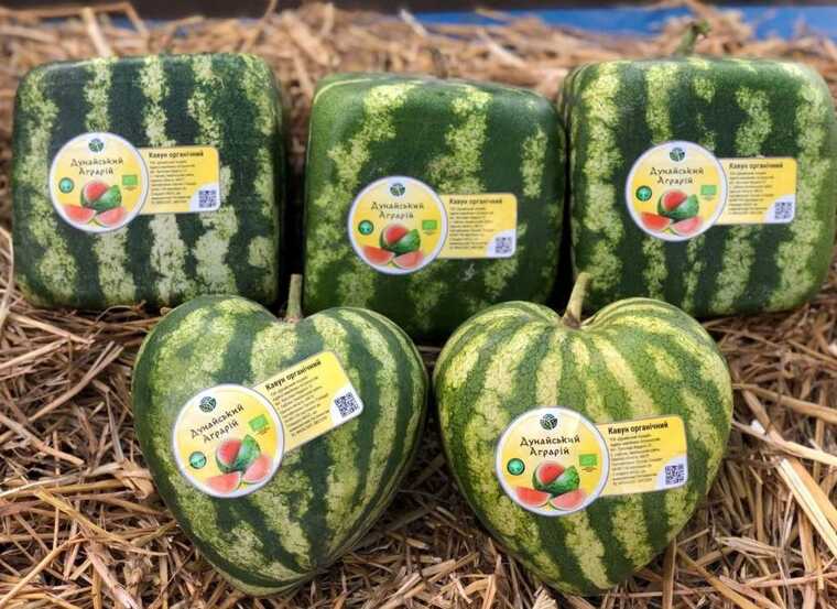 Рейдерство під час війни: на Одещині намагаються знищити унікальне аграрне підприємство