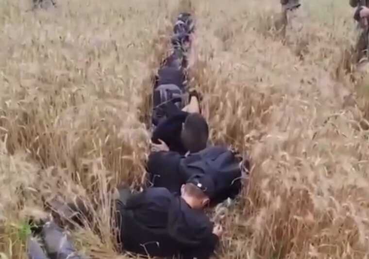 Прикордонники затримали 10 чоловіків, які намагались утекти з України пшеничним ланом