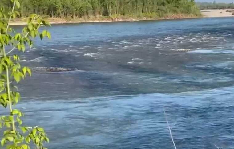 У Тисі виявили тіло чергового потопельника, – ДПСУ