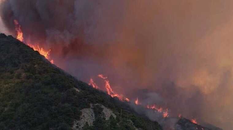 В Краснодарском крае РФ горят поля и леса: объявлен режим ЧС