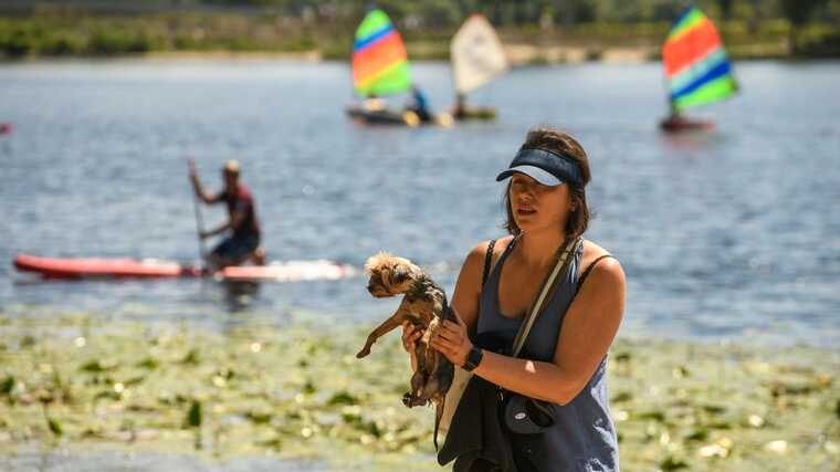 В Україну йде нова хвиля спеки